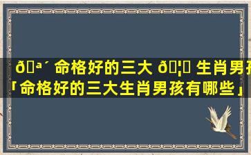 🪴 命格好的三大 🦆 生肖男孩「命格好的三大生肖男孩有哪些」